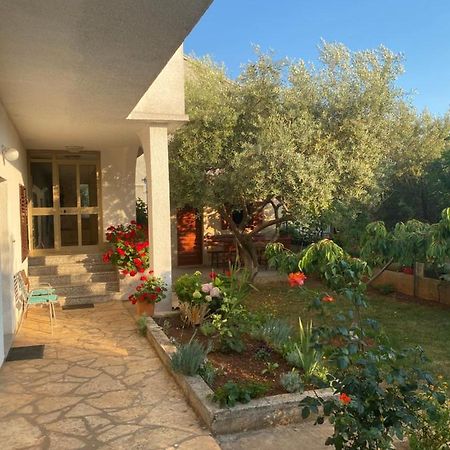 Apartment Nina Zadar Ngoại thất bức ảnh